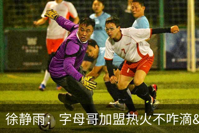 徐静雨：字母哥加盟热火不咋滴&价格卖低了 不如去绿军联手塔图姆